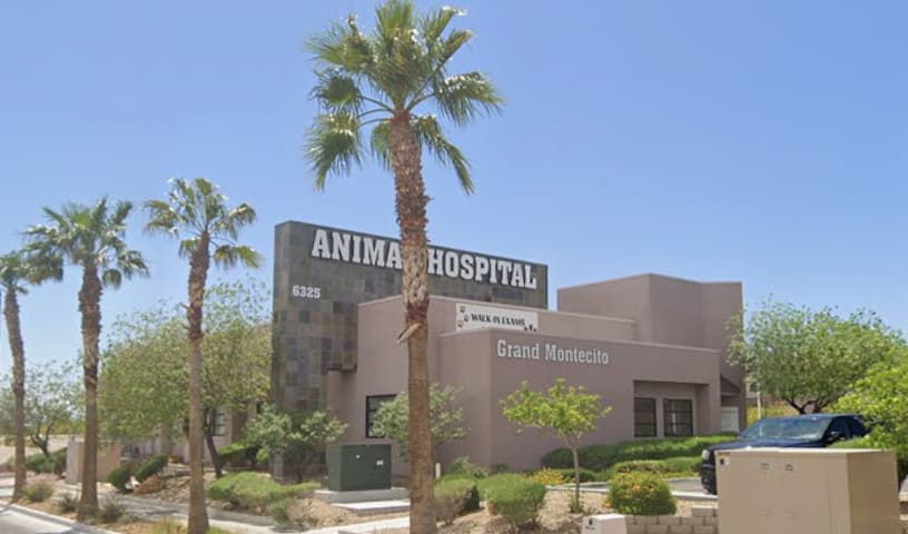 Grand Montecito Animal Hospital