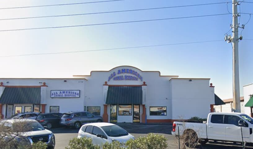 All American Animal Hospital