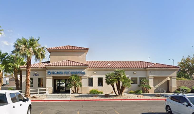 Island Pet Hospital