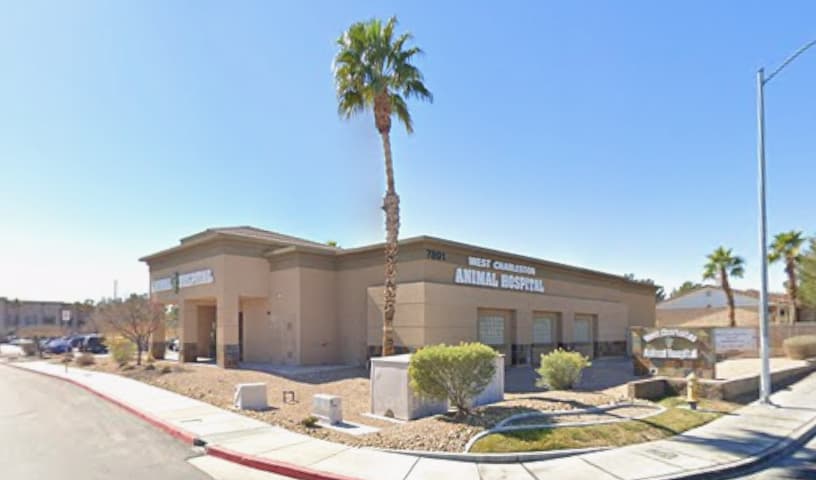 West Charleston Animal Hospital