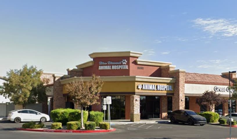 Blue Diamond Animal Hospital