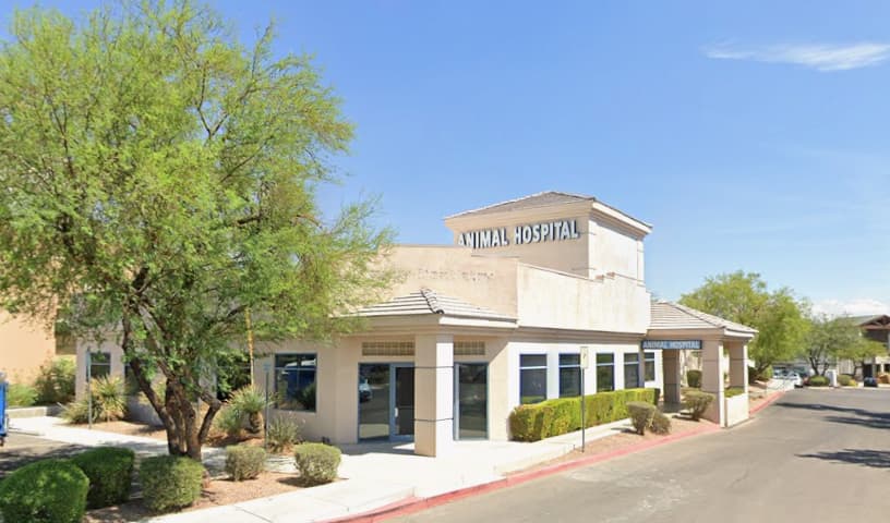 South Shores Animal Hospital