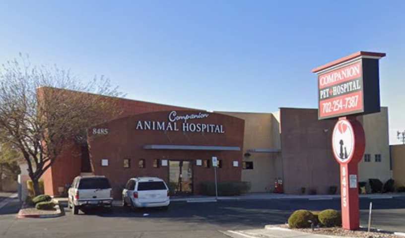 Companion Animal Hospital