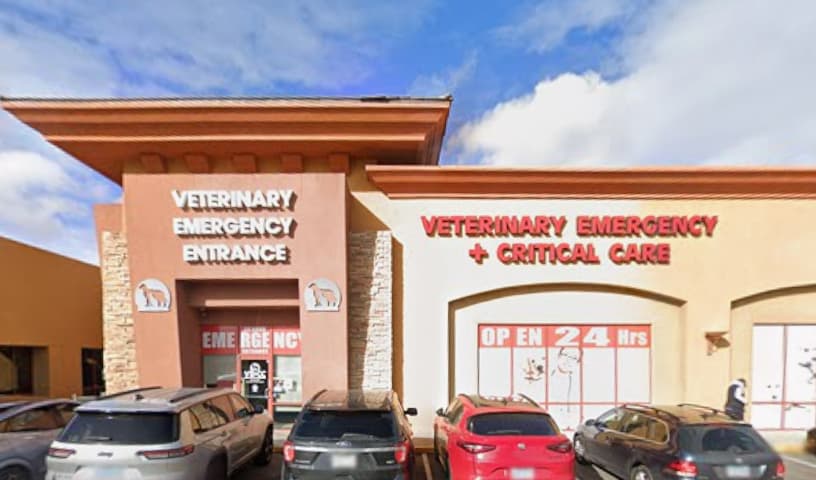 Veterinary Emergency + Critical Care