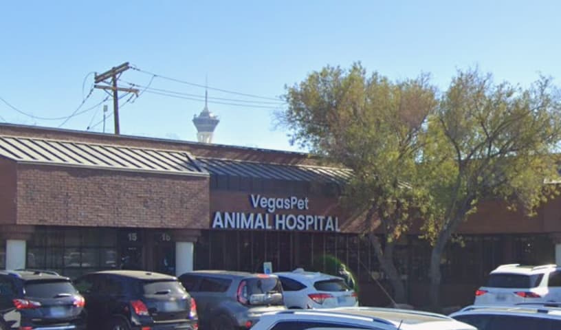 VegasPet Animal Hospital