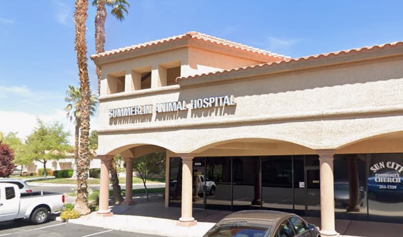 Summerlin Animal Hospital