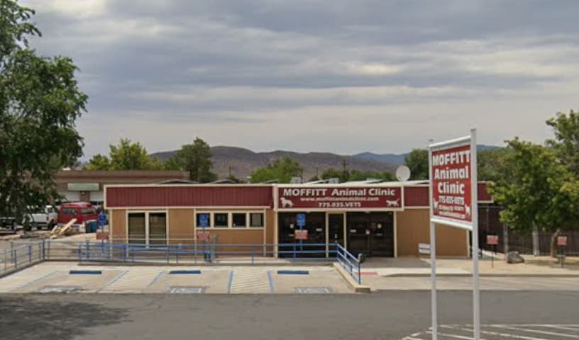 Moffitt Animal Clinic