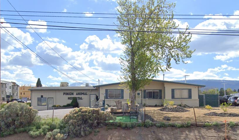 Pinion Veterinary Hospital