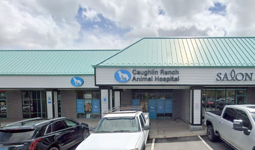 Caughlin Ranch Animal Hospital