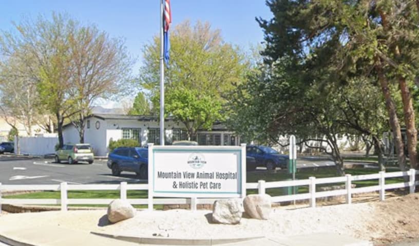 Mountain View Animal Hospital and Holistic Pet Care