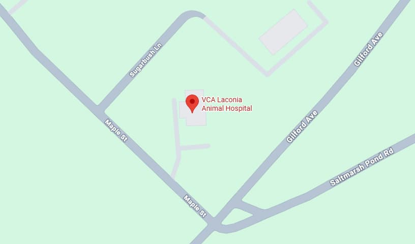 VCA Laconia Animal Hospital