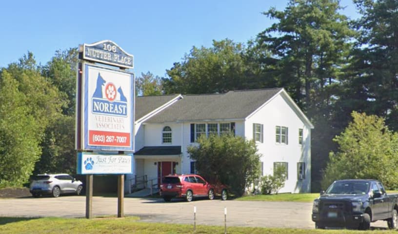 Noreast Veterinary Associates