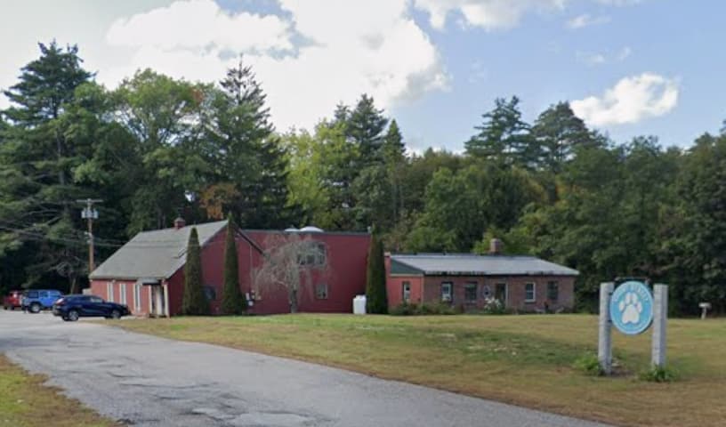 Court Street Veterinary Hospital