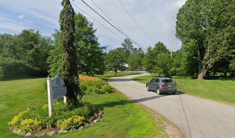 Plymouth Animal Hospital