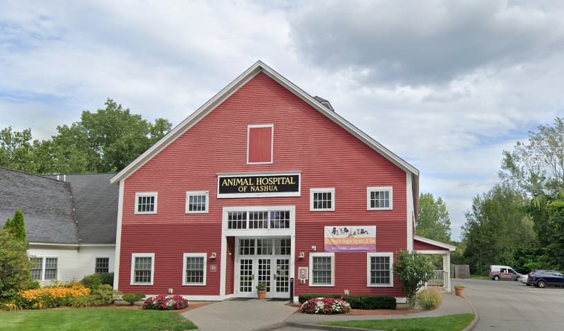 Animal Hospital of Nashua