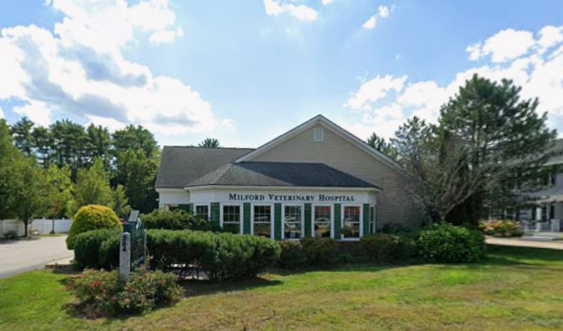 Milford Veterinary Hospital