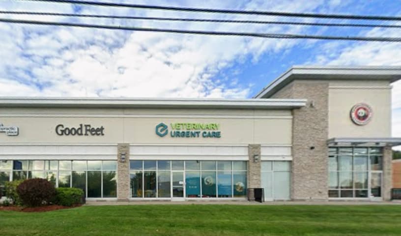 Veterinary Urgent Care - Nashua