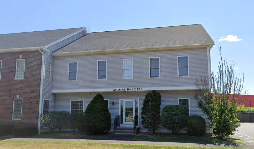 All Pets Veterinary Hospital