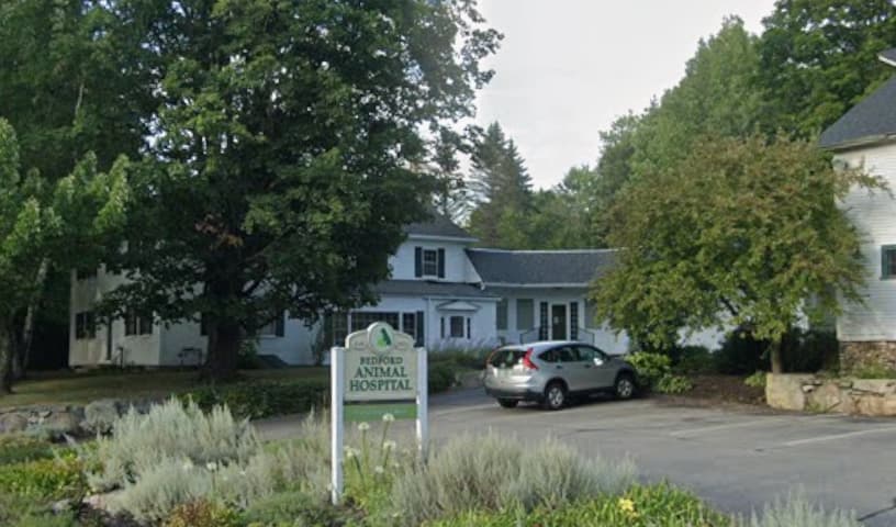 Bedford Animal Hospital
