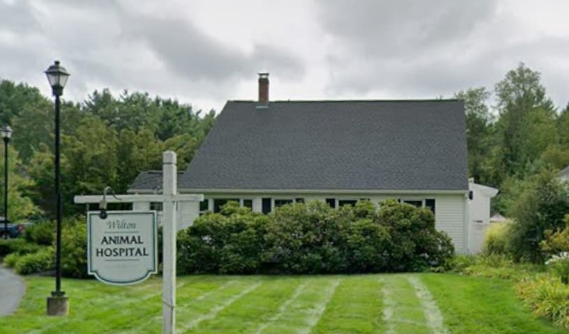 Wilton Animal Hospital