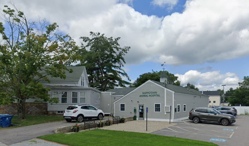 Goffstown Animal Hospital