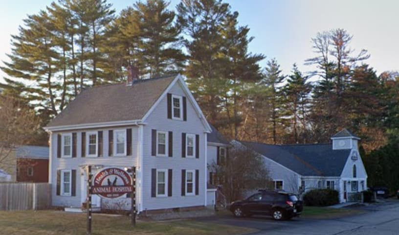 Health & Wellness Animal Hospital