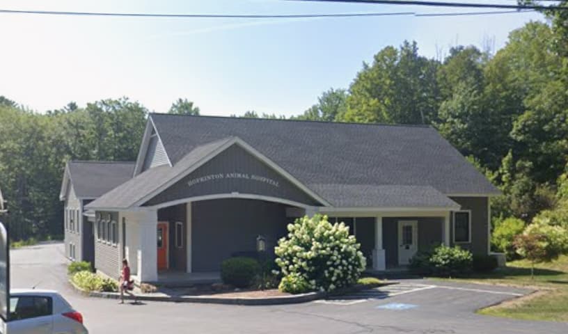 Hopkinton Animal Hospital