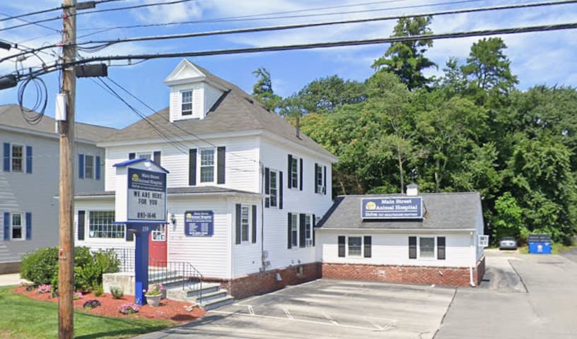 Main Street Animal Hospital