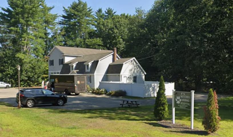 Mitchell Animal Hospital