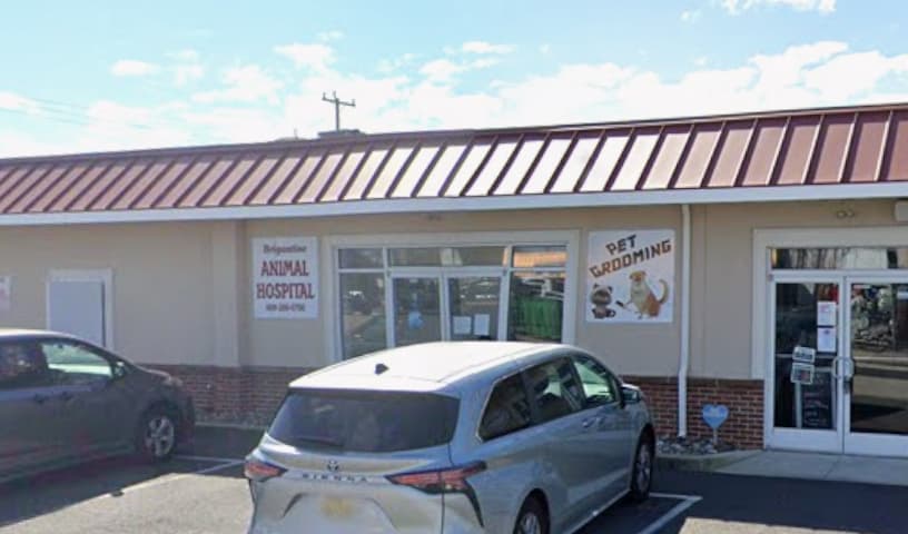 Brigantine Animal Hospital
