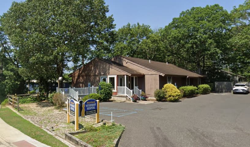 Mainland Veterinary Hospital