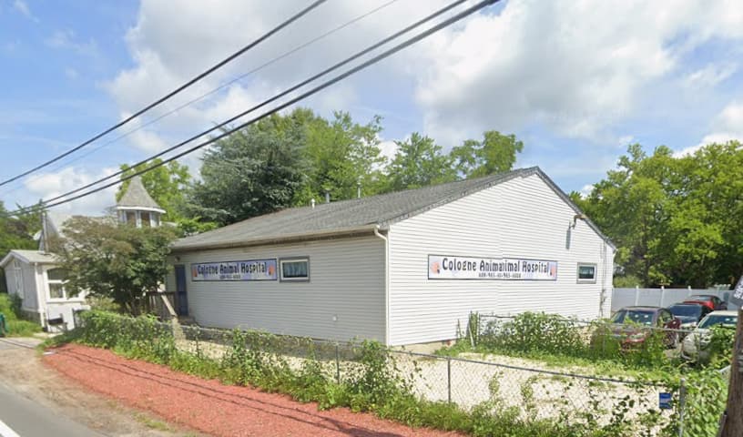 Cologne Animal Hospital
