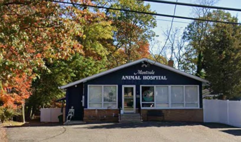 Montvale Animal Hospital