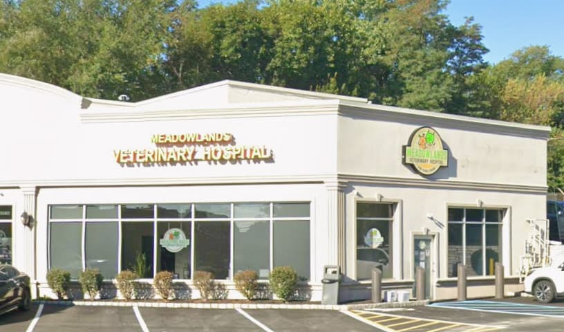 Meadowlands Veterinary Hospital