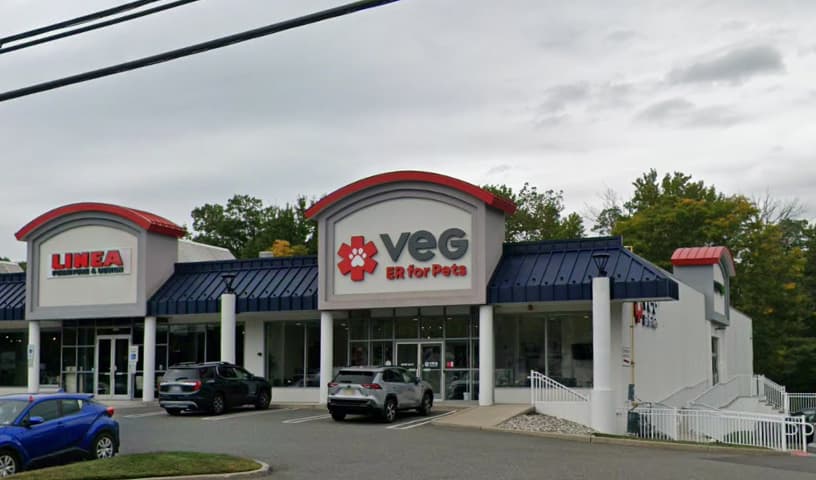 VEG ER for Pets