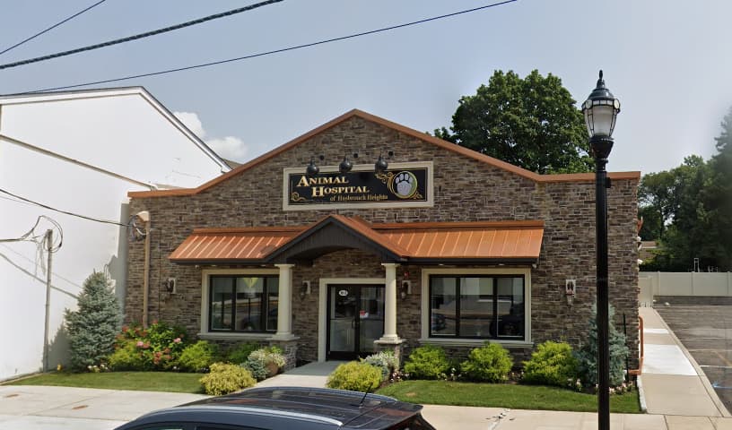 Animal Hospital of Hasbrouck Heights