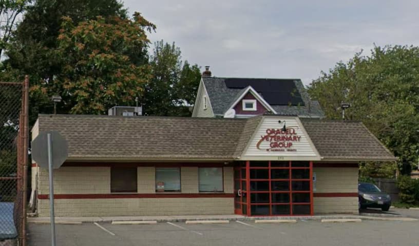 Oradell Veterinary Group of Hasbrouck Heights
