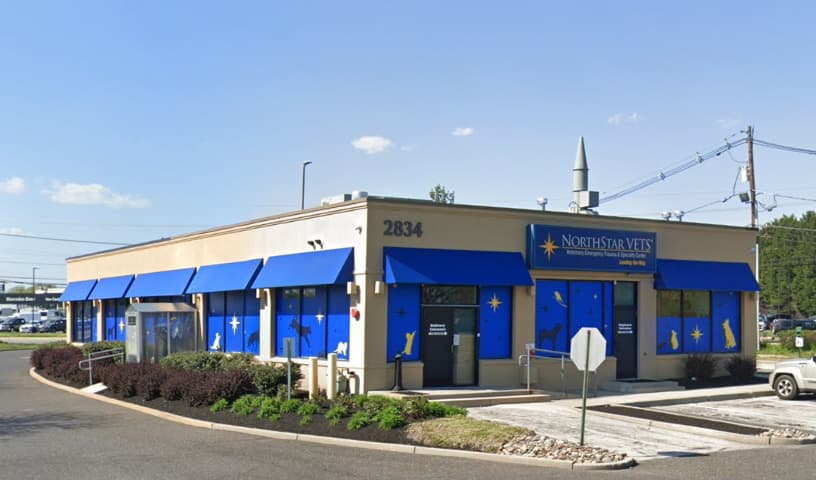 NorthStar VETS