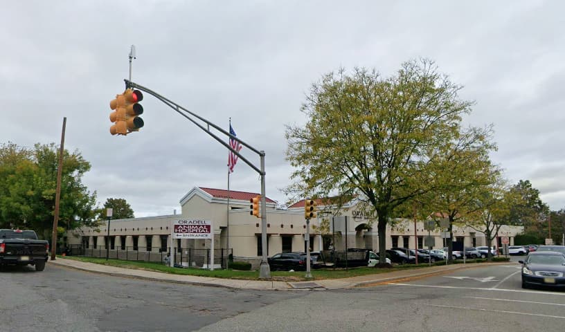 Oradell Animal Hospital - Paramus