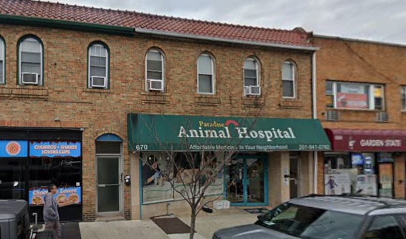 Animal Paradise Hospital