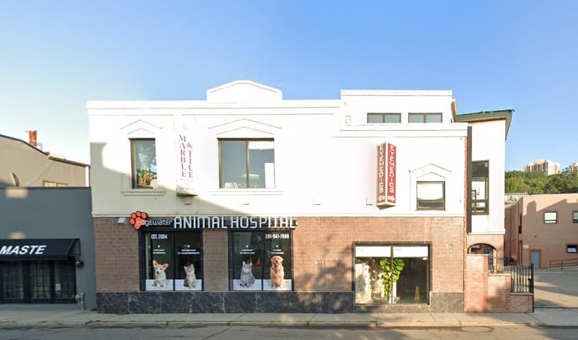 Edgewater Animal Hospital