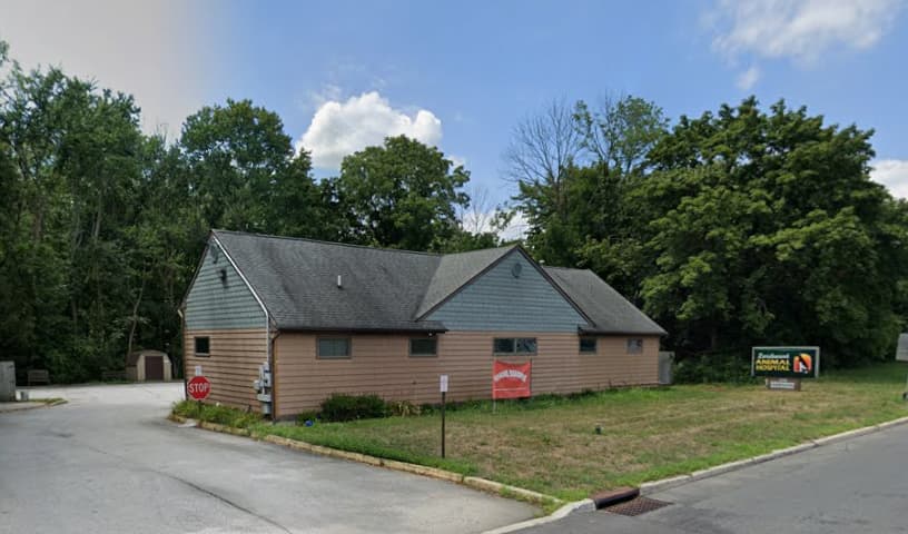 Larchmont Animal Hospital