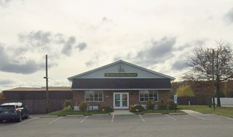 Old York Veterinary Hospital