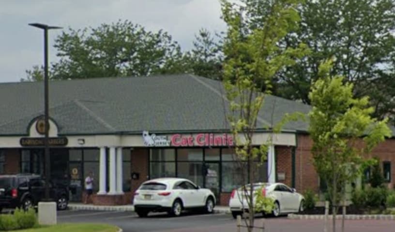 South Jersey Cat Clinic