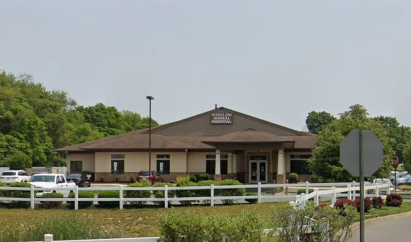 VCA Winslow Animal Hospital