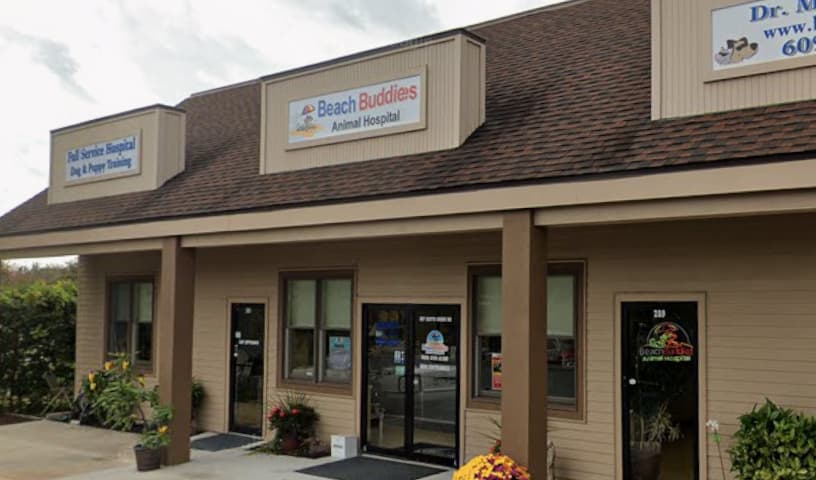 Beach Buddies Animal Hospital