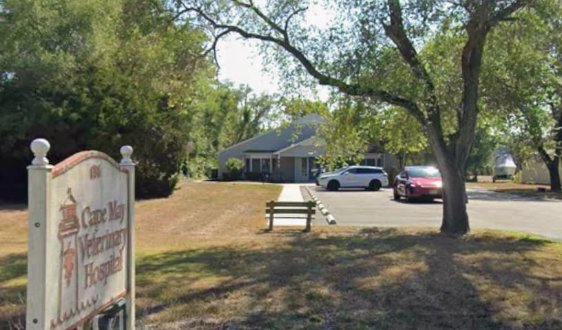 Cape May Veterinary Hospital
