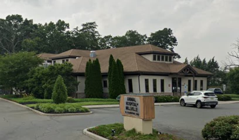 Animal Hospital of Millville