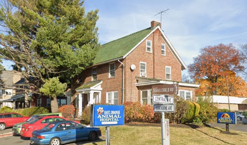 East Orange Animal Hospital