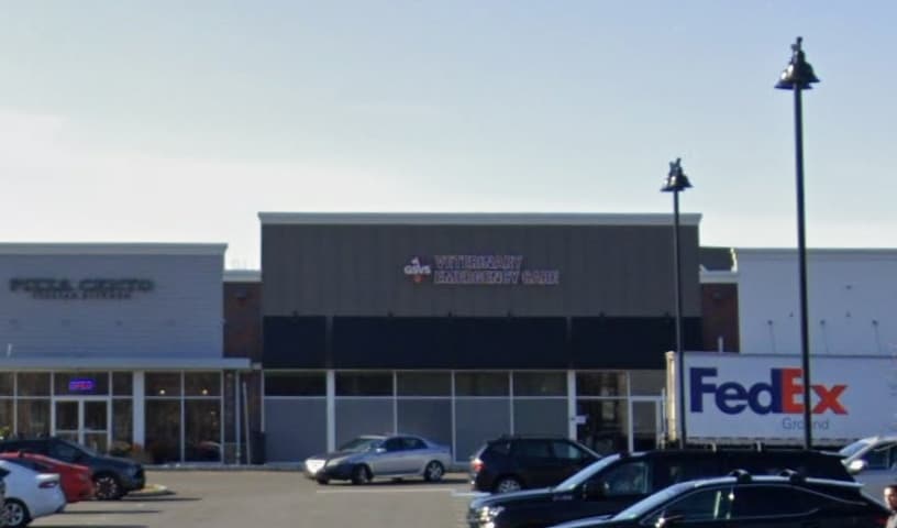 GSVS Veterinary Emergency Care Morristown